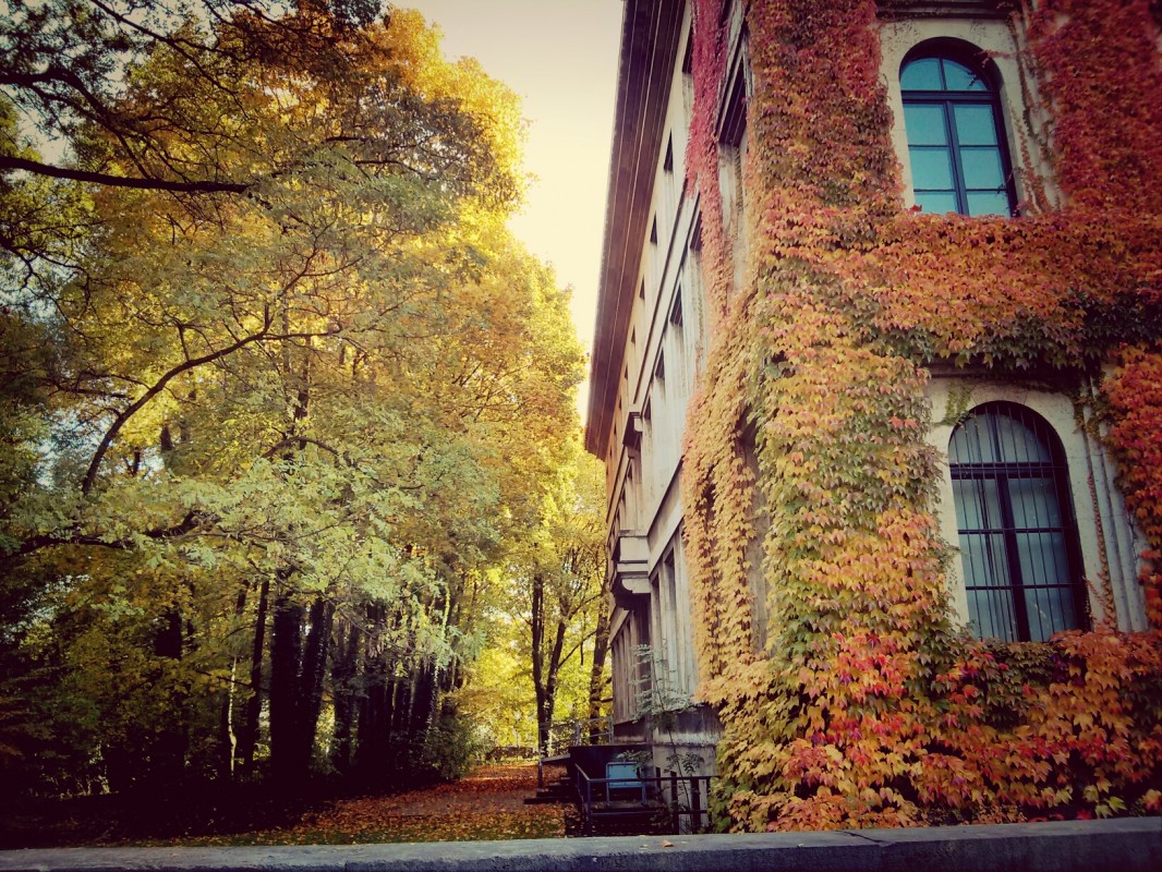 Back from Europe in Fall: My latest photos on @Eyeem
